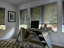 Aluminum Blinds in Home Office