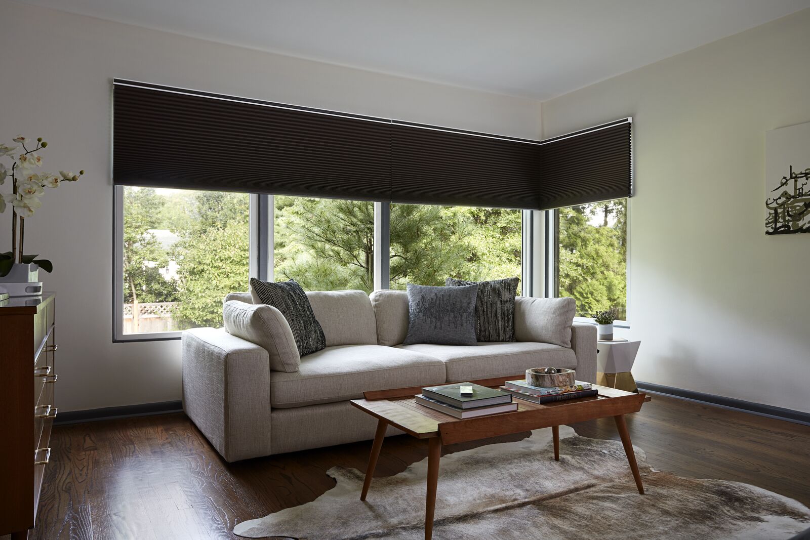 Blackout Cellular Shades Blackout Cellular Shades