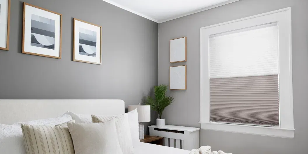 Honeycomb/ Cellular Shades