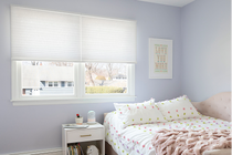 Cordless Blinds