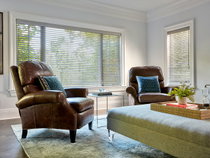 Wood Blinds in Living Room
