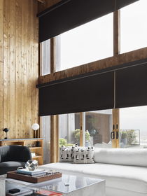 Roller Shades for Living Rooms