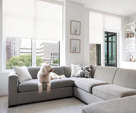 SAVE SMART:<br>50% OFF<br><em style="color:#C8D96A !important;">MOTORIZATION</em> SAVE SMART:<br>50% OFF<br><em style="color:#C8D96A !important;">MOTORIZATION</em>