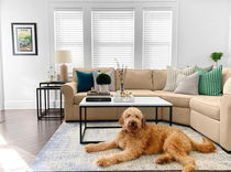 Easy-to-clean faux wood blinds for living rooms